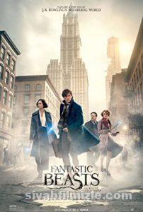 Fantastik Canavarlar Film Serisi