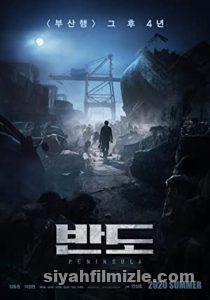 Zombi Ekspresi Film Serisi