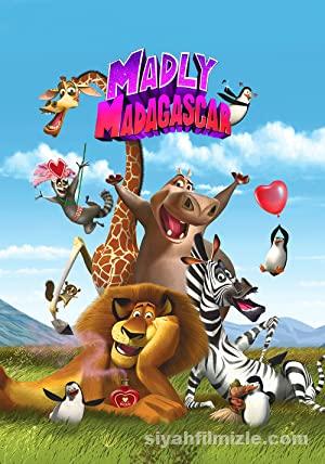 Madagaskar 4 film izle Madly Madagascar