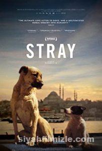 Stray 2020 Filmi Türkçe Dublaj Altyazılı Full izle