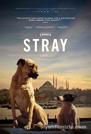 Stray 2020 Turkce Altyazili izle