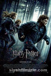 Harry Potter Film Serisi
