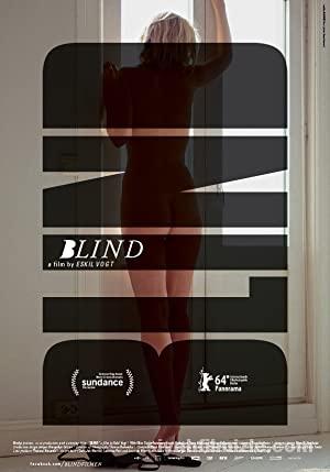 Korluk – Blind 2014 izle