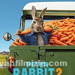 Peter Rabbit 2: Kaçak Tavşan 2021 Filmi Türkçe Dublaj izle