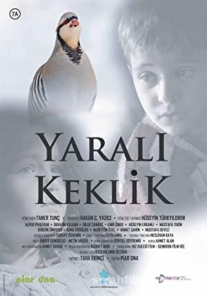 Yarali Keklik 2019 Sansursuz izle