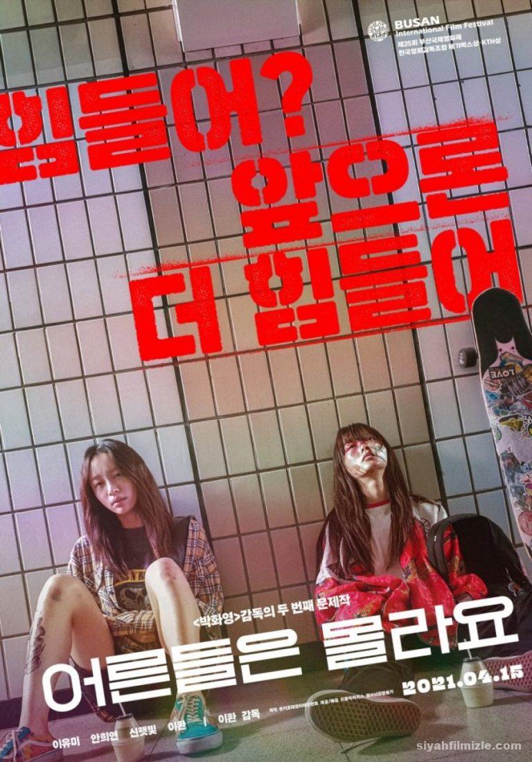 Young Adult Matters 2020 Turkce Altyazili izle