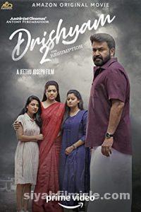 Drishyam Film Serisi