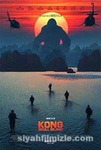 King Kong Film Serisi