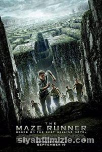 Labirent Film Serisi