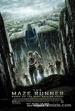 Labirent Olumcul Kacis izle The Maze Runner izle