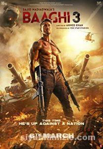 Baaghi Film Serisi