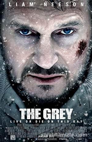 Gri Kurt 2011 Filmi Türkçe Dublaj Altyazılı Full izle