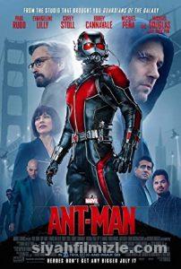 Karınca Adam Film Serisi
