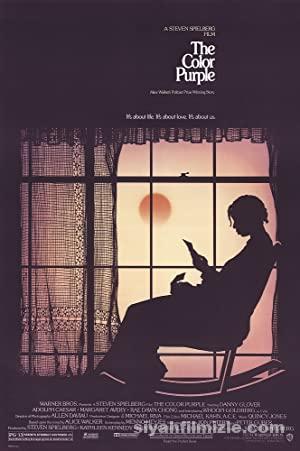 Mor Yillar The Color Purple 1985 Filmi Full HD izle