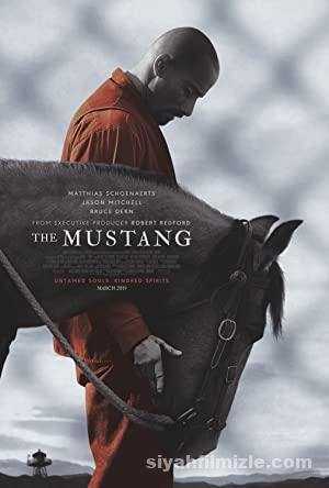 Mustang Yabani At izle The Mustang izle 2019