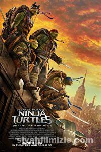 Ninja Kaplumbağalar Film Serisi