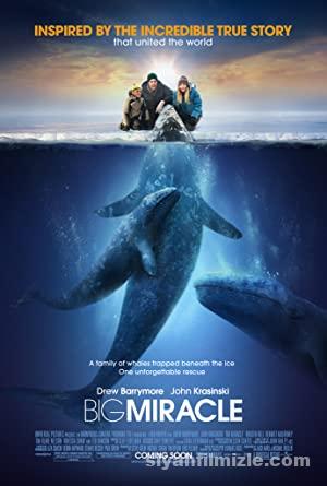 Buyuk Mucize Big Miracle 2012