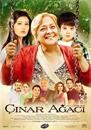 Cinar Agaci 2011 Filmi Full Sansursuz izle