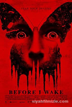 Kabustan Gelen Before I Wake 2016 Filmi Full HD izle