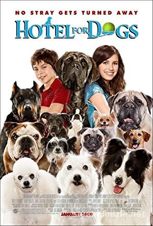Kopek Oteli Hotel for Dogs