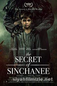 The Secret of Sinchanee 2021 Türkçe Dublaj Altyazılı izle