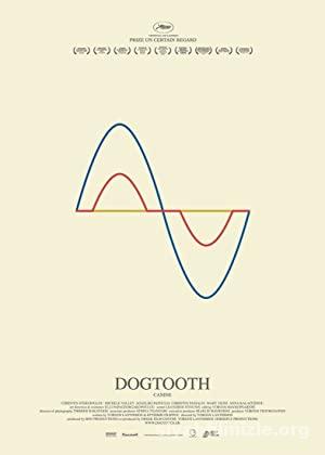 Kopek Disi Dogtooth 2009 Turkce Altyazili Genclik Film izle