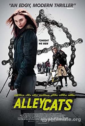 Sokak Kedileri Alleycats 2016 Filmi Turkce Dublaj Full izle