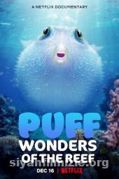 puffwondersofthereef movie poster