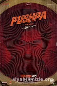 Pushpa: The Rise 2021 Filmi Türkçe Dublaj Altyazılı izle
