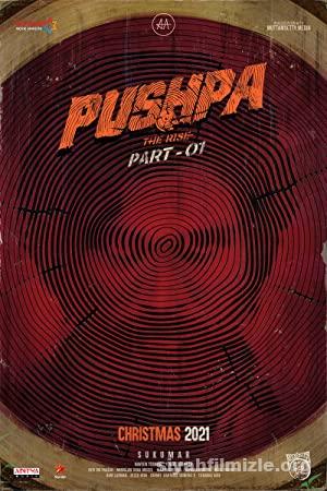 Pushpa The Rise 2021 Filmi Turkce Altyazili Full izle