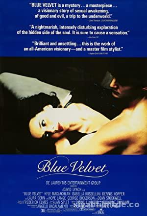 Mavi Kadife Blue Velvet 1986 Filmi Turkce Dublaj Full izle