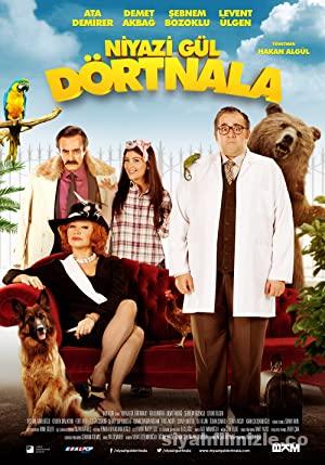 Niyazi Gul Dortnala 2015 Filmi Sansursuz Full 1080p izle