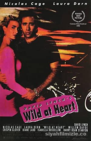 Vahsi Duygular 1990 Filmi Turkce Dublaj Full izle