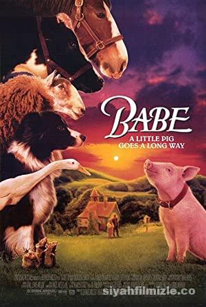 Bebe Babe 1995 Turkce Dublaj Filmi Full HD izle