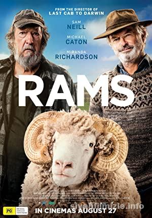 Rams 2020 Turkce Altyazili Filmi Full 4k izle