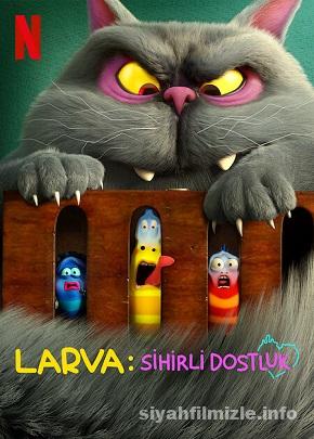 larva 1