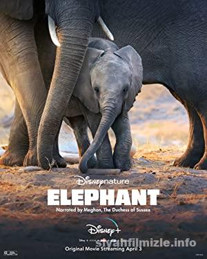 Fil Elephant 2020 Filmi Turkce Dublaj Full izle