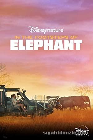 Filin Ayak Izinden 2020 Filmi Turkce Dublaj Full izle