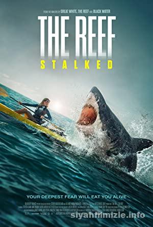 The Reef Stalked izle