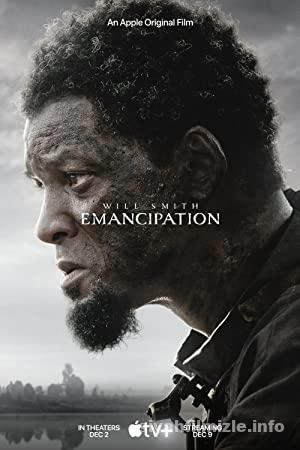 Kurtulus Ozgurluge Giden Yol izle