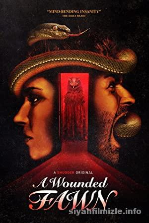 Yarali Geyik izle