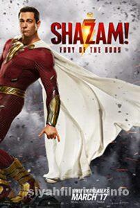 Shazam! Film Serisi