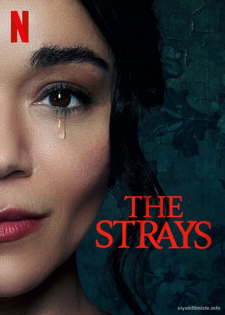 Basibos The Strays 2023 Filmi Turkce Dublaj Full izle
