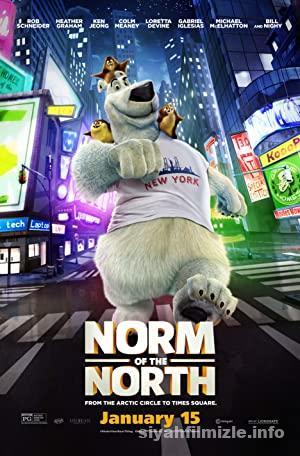 Karlar Krali Norm izle