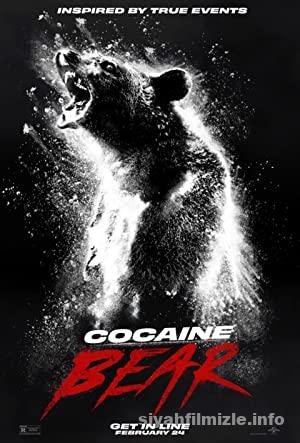 Cildirmis Ayi izle