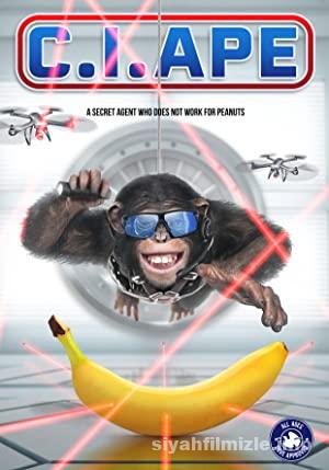 Gizli Ajan Sempanze izle