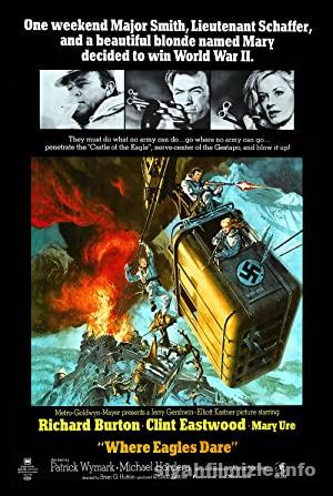 Kartal Yuvasi izle