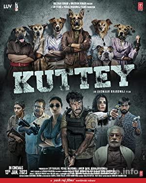 Kuttey izle
