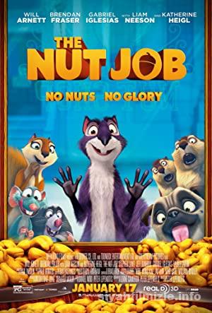Findik Isi izle