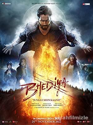 Bhediya izle